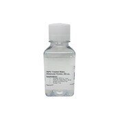 Water, DEPC-Treated, 250 mL